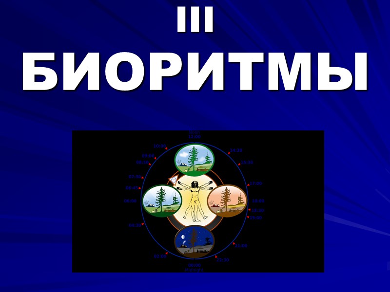 III  БИОРИТМЫ